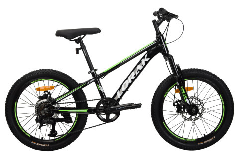 LORAK Safe 20 Чёрный/Зелёный