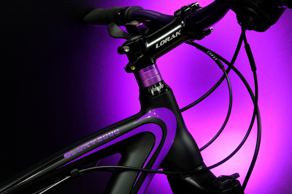 Lorak Glory 2000 Матовый Чёрный/Фиолетовый рама 17 (на рост 155-173)