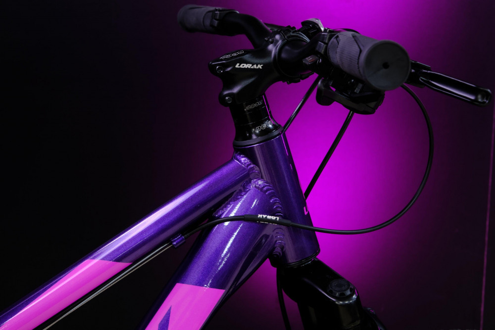 LORAK SHARK 26 BLACK Фиолетовый/Розовый